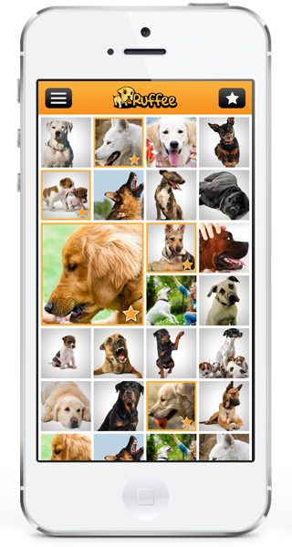 Ruffee App - Map Feature